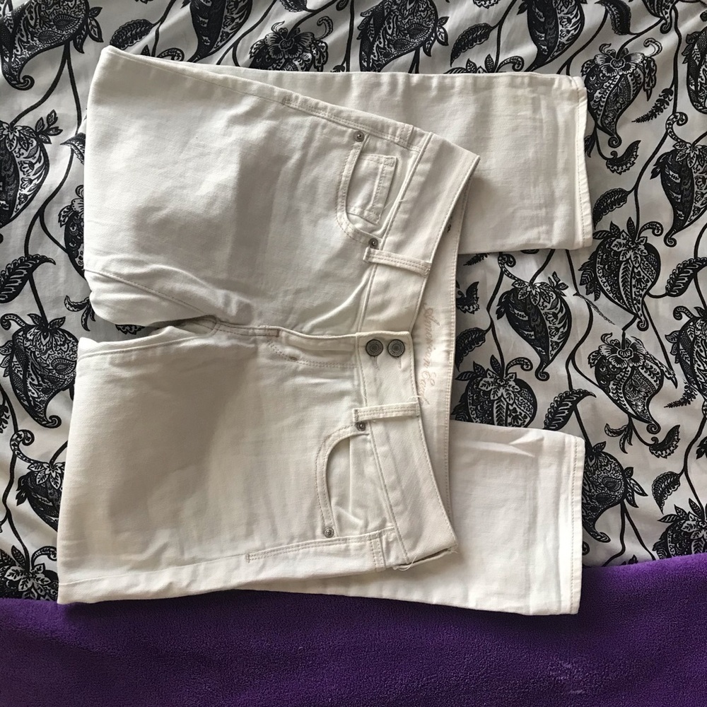 American Eagle Artist Crop Jeans